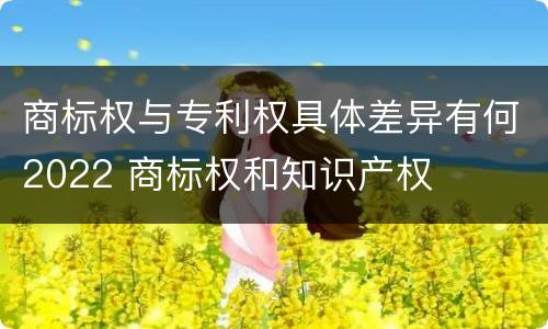 商标权与专利权具体差异有何2022 商标权和知识产权