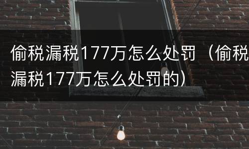 偷税漏税177万怎么处罚（偷税漏税177万怎么处罚的）