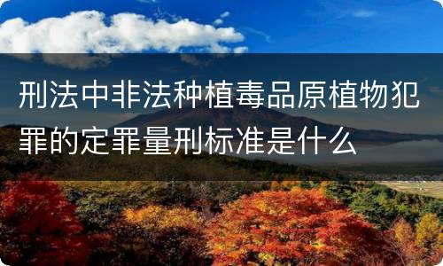 刑法中非法种植毒品原植物犯罪的定罪量刑标准是什么