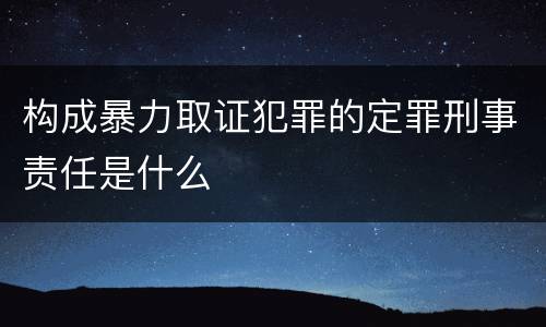 构成暴力取证犯罪的定罪刑事责任是什么
