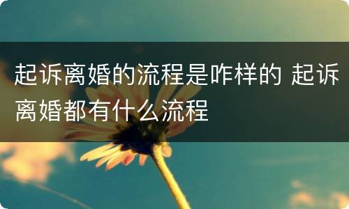 起诉离婚的流程是咋样的 起诉离婚都有什么流程