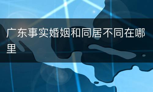 广东事实婚姻和同居不同在哪里