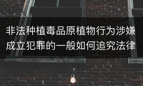 非法种植毒品原植物行为涉嫌成立犯罪的一般如何追究法律责任