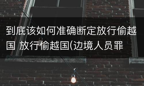 到底该如何准确断定放行偷越国 放行偷越国(边境人员罪
