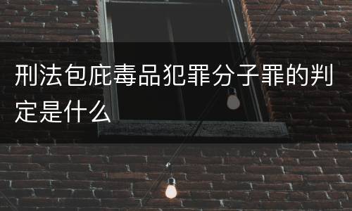 刑法包庇毒品犯罪分子罪的判定是什么