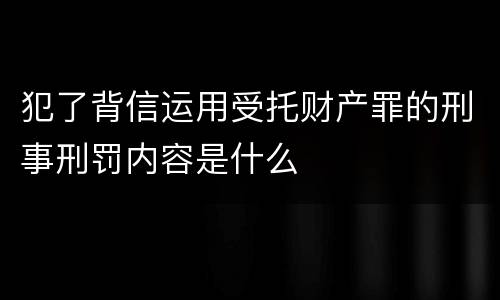 犯了背信运用受托财产罪的刑事刑罚内容是什么