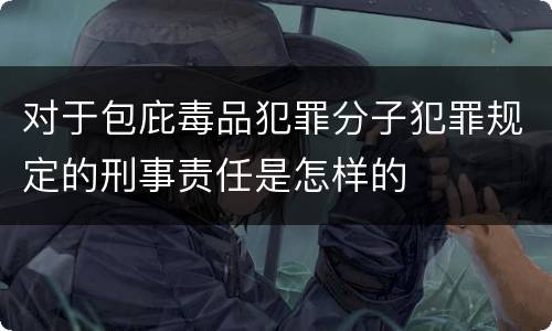 对于包庇毒品犯罪分子犯罪规定的刑事责任是怎样的