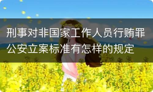 刑事对非国家工作人员行贿罪公安立案标准有怎样的规定