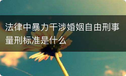 法律中暴力干涉婚姻自由刑事量刑标准是什么