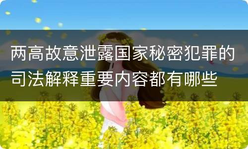 两高故意泄露国家秘密犯罪的司法解释重要内容都有哪些