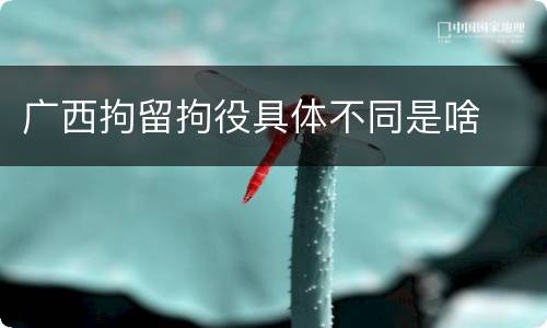 广西拘留拘役具体不同是啥