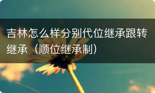 吉林怎么样分别代位继承跟转继承（顺位继承制）
