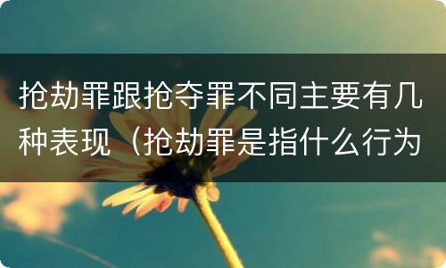 抢劫罪跟抢夺罪不同主要有几种表现（抢劫罪是指什么行为）
