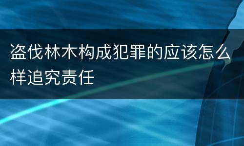 盗伐林木构成犯罪的应该怎么样追究责任