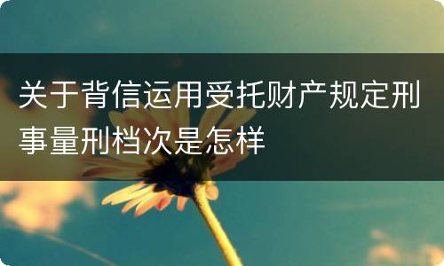 关于背信运用受托财产规定刑事量刑档次是怎样