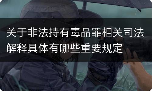 关于非法持有毒品罪相关司法解释具体有哪些重要规定