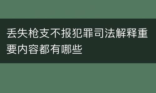 丢失枪支不报犯罪司法解释重要内容都有哪些