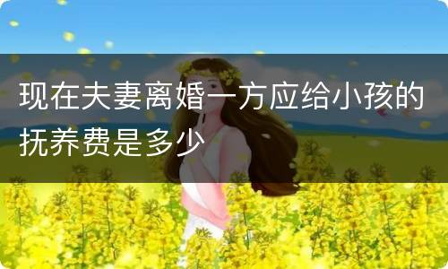 现在夫妻离婚一方应给小孩的抚养费是多少