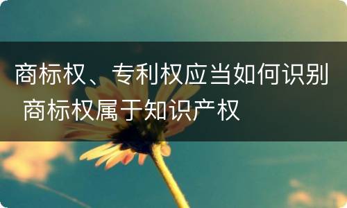 商标权、专利权应当如何识别 商标权属于知识产权
