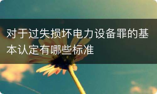 对于过失损坏电力设备罪的基本认定有哪些标准