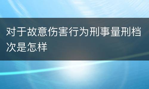 对于故意伤害行为刑事量刑档次是怎样