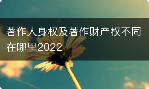 著作人身权及著作财产权不同在哪里2022