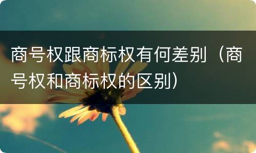 商号权跟商标权有何差别（商号权和商标权的区别）