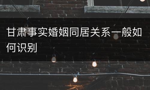甘肃事实婚姻同居关系一般如何识别