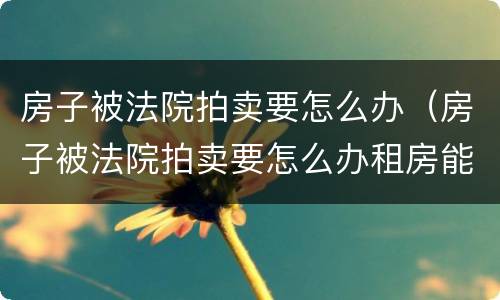 房子被法院拍卖要怎么办（房子被法院拍卖要怎么办租房能避免吗）