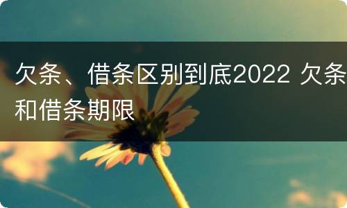欠条、借条区别到底2022 欠条和借条期限