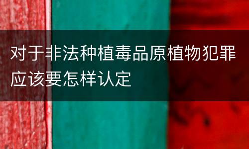 对于非法种植毒品原植物犯罪应该要怎样认定