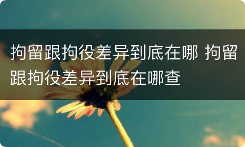 拘留跟拘役差异到底在哪 拘留跟拘役差异到底在哪查