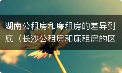 湖南公租房和廉租房的差异到底（长沙公租房和廉租房的区别）