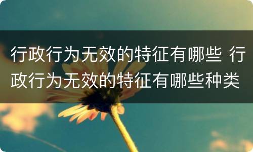 行政行为无效的特征有哪些 行政行为无效的特征有哪些种类