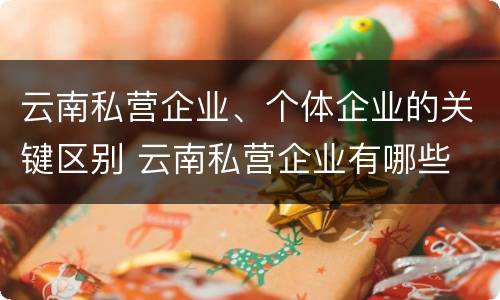 云南私营企业、个体企业的关键区别 云南私营企业有哪些