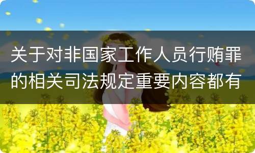 关于对非国家工作人员行贿罪的相关司法规定重要内容都有哪些