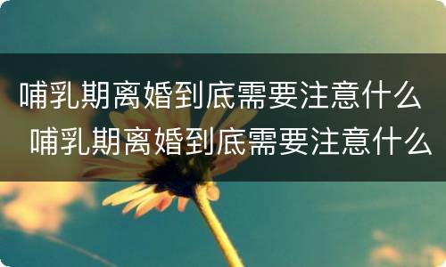 哺乳期离婚到底需要注意什么 哺乳期离婚到底需要注意什么细节