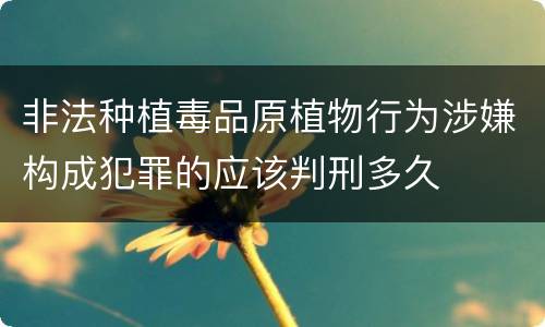 非法种植毒品原植物行为涉嫌构成犯罪的应该判刑多久