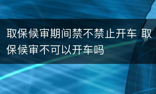 取保候审期间禁不禁止开车 取保候审不可以开车吗