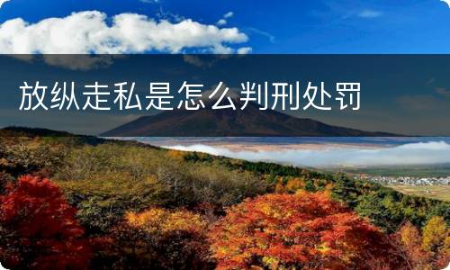 放纵走私是怎么判刑处罚