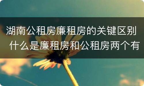 湖南公租房廉租房的关键区别 什么是廉租房和公租房两个有什么特点