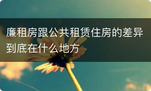 廉租房跟公共租赁住房的差异到底在什么地方