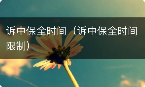 诉中保全时间（诉中保全时间限制）