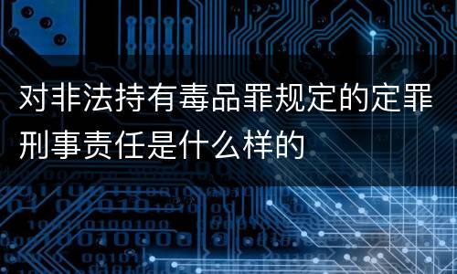 对非法持有毒品罪规定的定罪刑事责任是什么样的