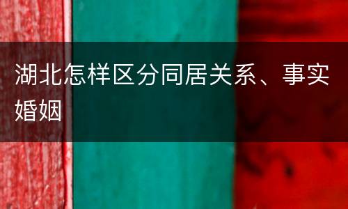 湖北怎样区分同居关系、事实婚姻
