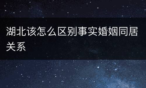 湖北该怎么区别事实婚姻同居关系