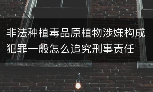 非法种植毒品原植物涉嫌构成犯罪一般怎么追究刑事责任