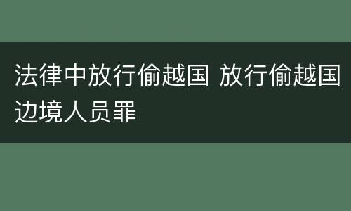 法律中放行偷越国 放行偷越国边境人员罪