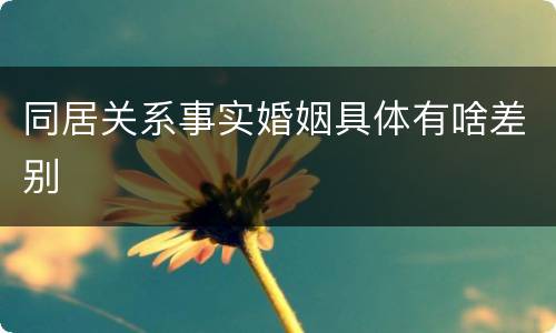 同居关系事实婚姻具体有啥差别