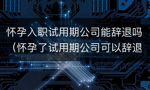 怀孕入职试用期公司能辞退吗（怀孕了试用期公司可以辞退吗）